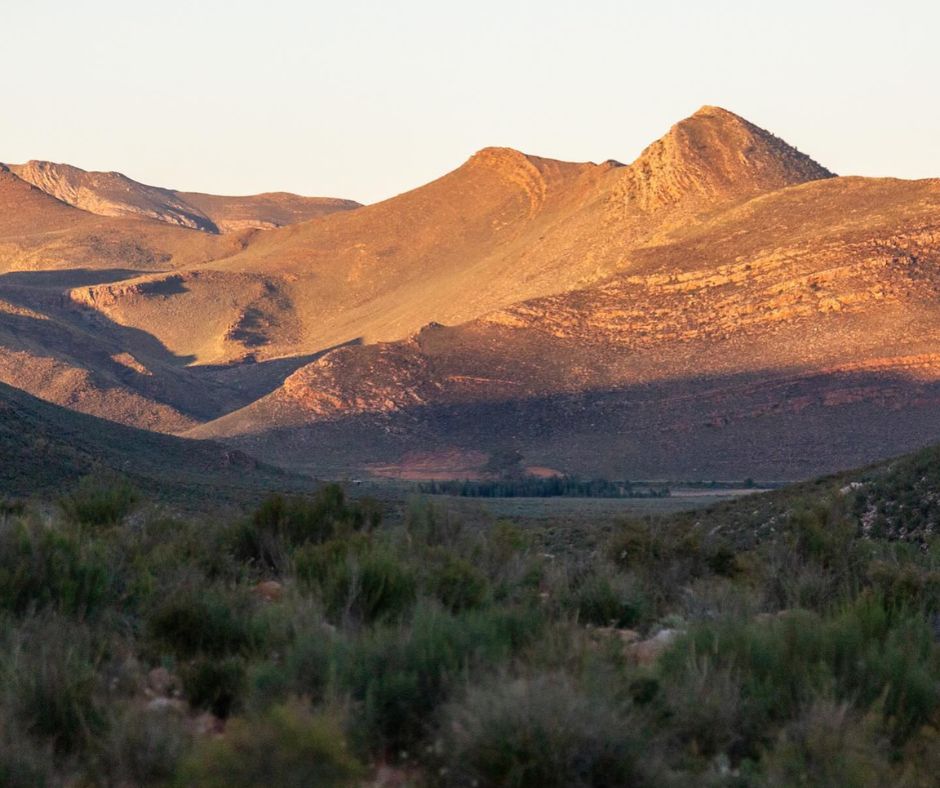 Safari Jeep at Aquila